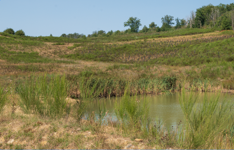 MI-F - Site Thedirac