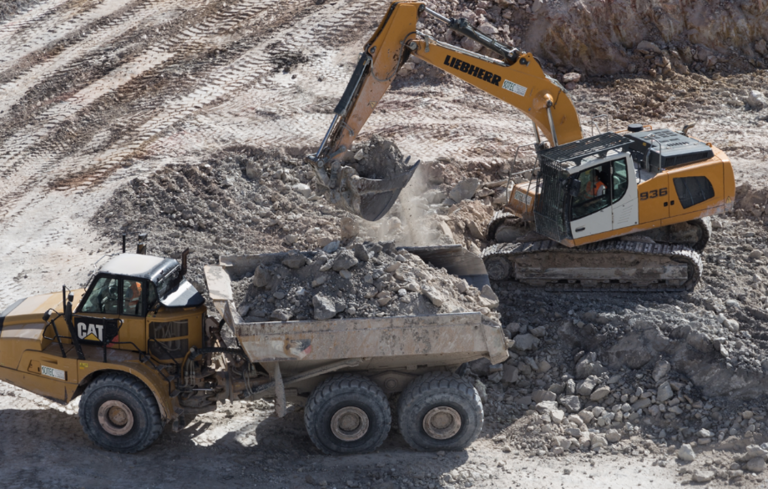 MI-F - Pelle chenille 1