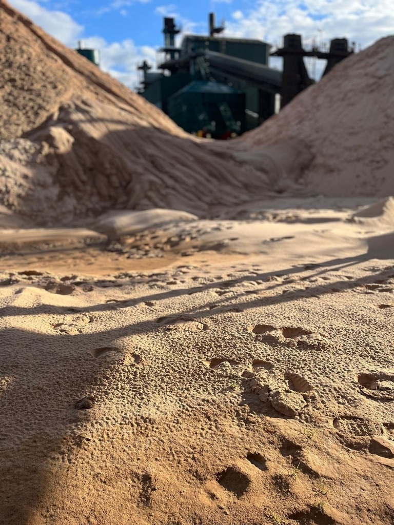 MI-F - 1728379057830.jpg