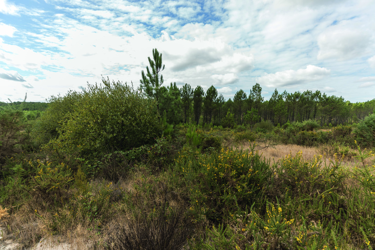 MI-F - faunes et flore