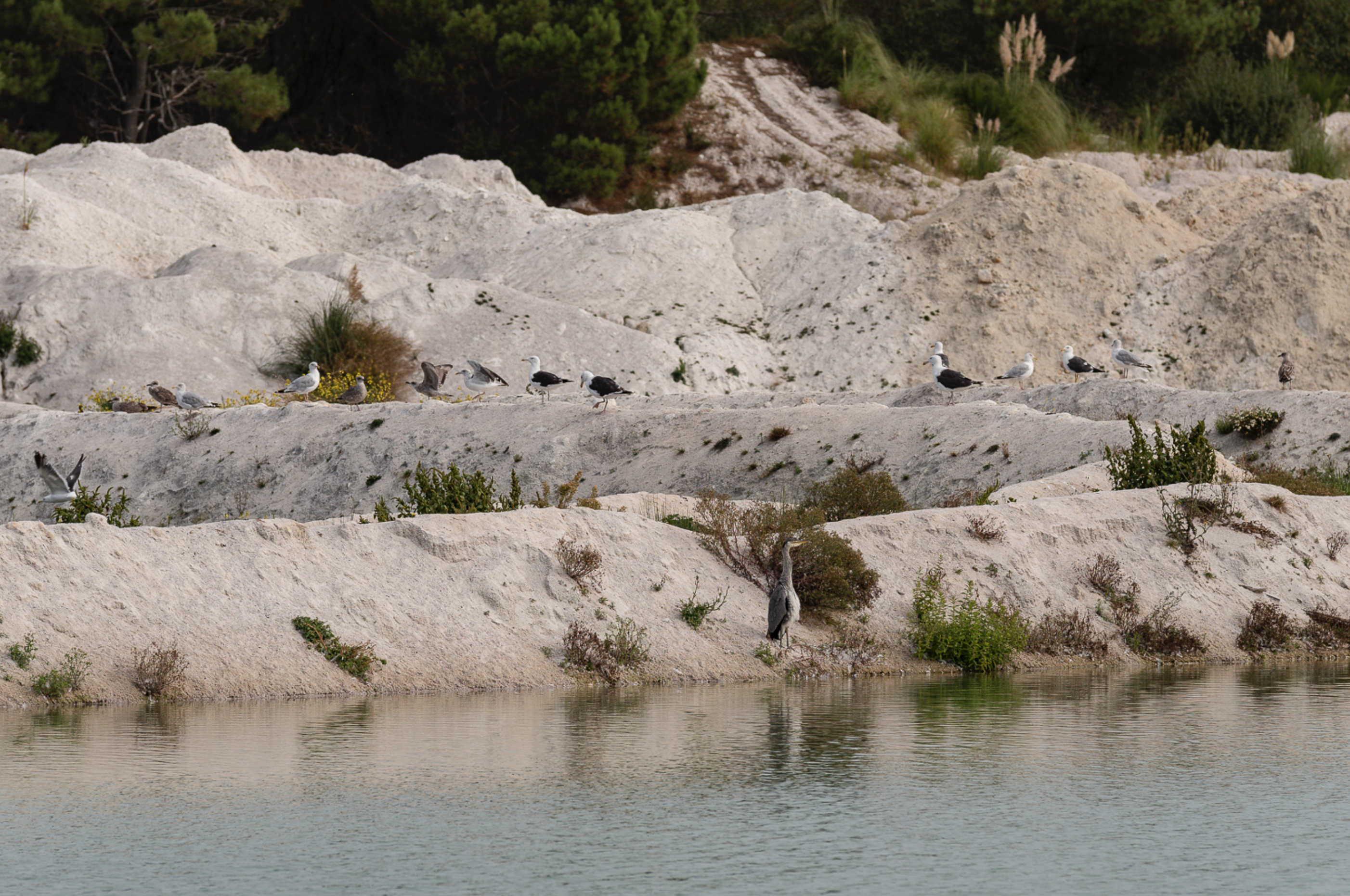 MI-F - Newsletter n°12 - 19 décembre 2012