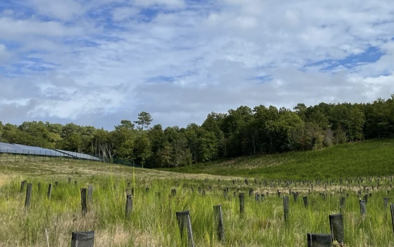 MI-F - Histoire de #quartz, Minéraux Industriels-France et la DGALN rendaient visite au site Imerys (Dordogne).