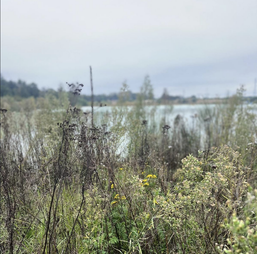 MI-F - L’entreprise Quartz de Haguenau a rejoint récemment Minéraux Industriels France.